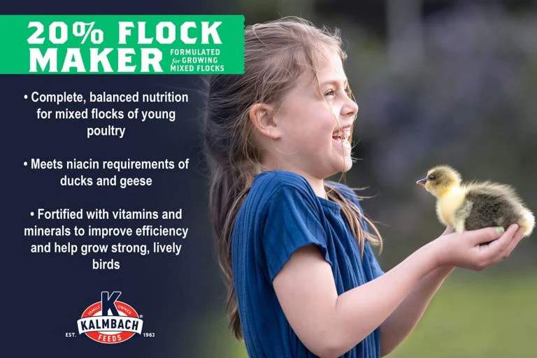 20% Non-GMO Flock Maker™ Crumble Feed - Image 3