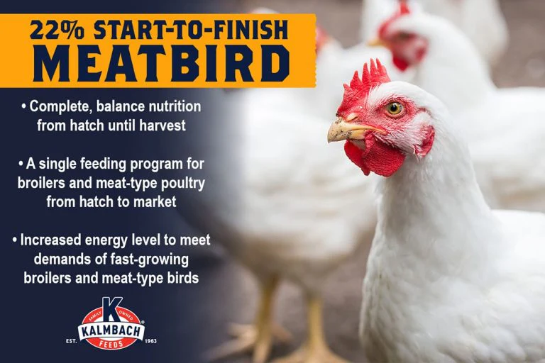 22% Start-To-Finish Meatbird (Non-GMO) - Image 3