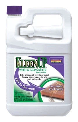 KLEENUP HE 32 OZ RTU