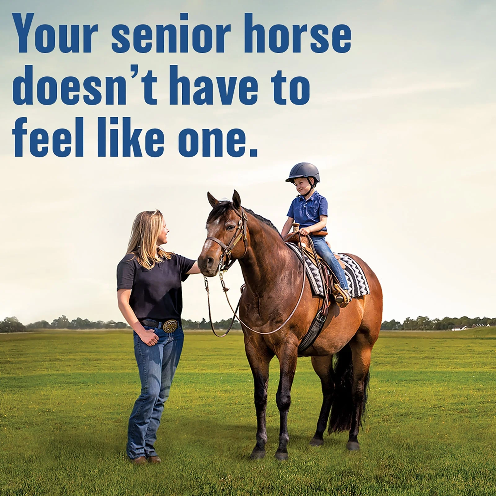 Absorbine Bute-Less® Comfort & Recovery Support Pellets - Image 4
