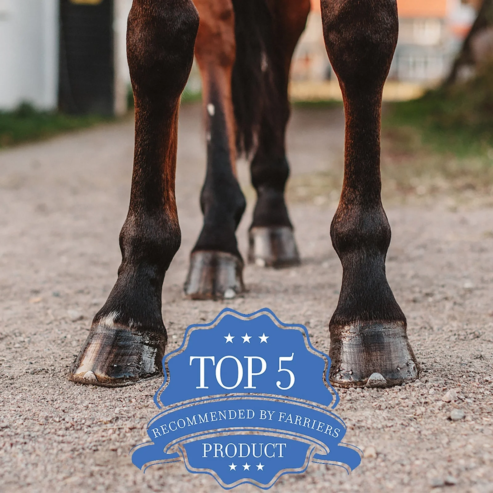Asorbine Magic Cushion® Hoof Packing - Image 8