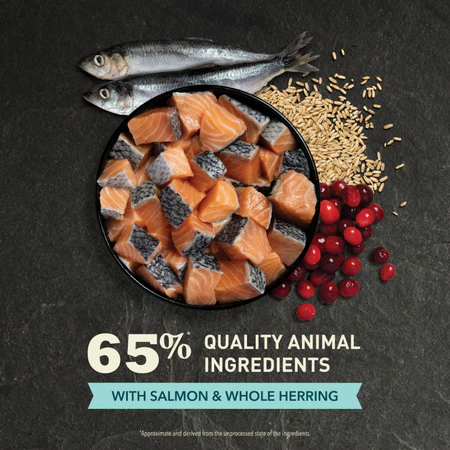 ACANA Bountiful Catch Salmon Catfish and Herring Dry Cat Food - Image 4