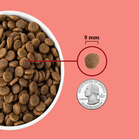 ACANA Highest Protein Indoor Cat Recipe - Image 5