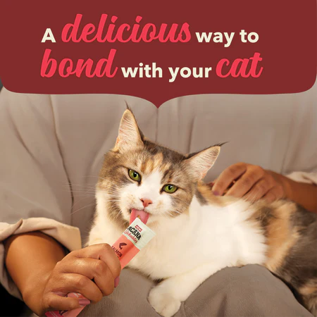 ACANA Lickables Salmon Recipe Cat Treats - Image 4