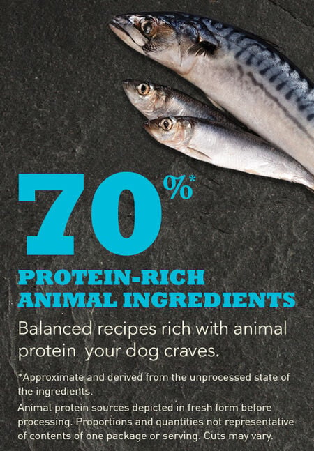 ACANA  Highest Protein Wild Atlantic Recipe Dry Dog Food - Image 3