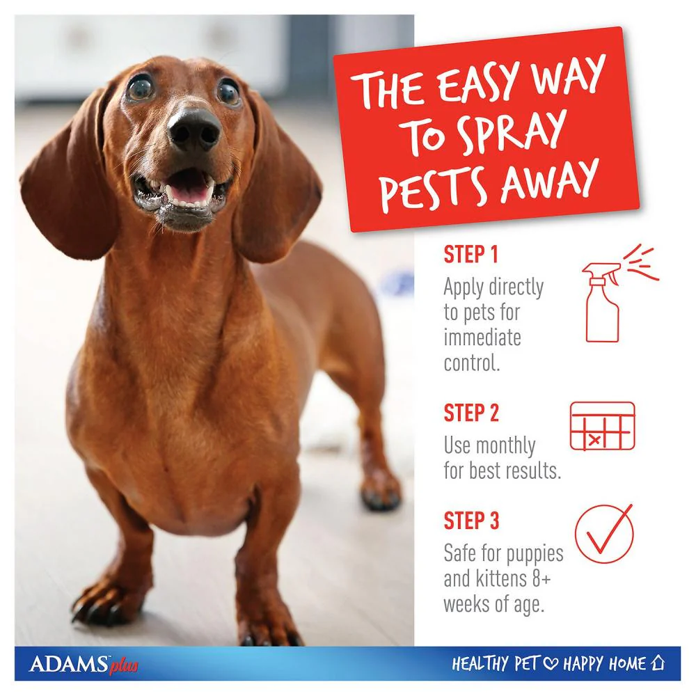 Adams Plus Spot On Flea & Tick Spray for Cats & Dogs - Image 4
