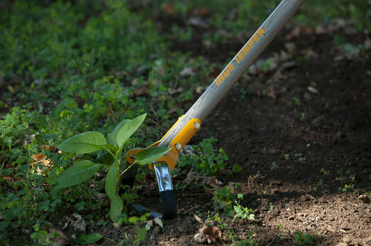 AMES TRUE TEMPER ACTION HOE WITH CUSHION END GRIP ON HARDWOOD HANDLE - Image 2