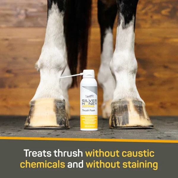 Asorbine Silver Honey® Rapid Hoof Care Thrush Foam - Image 4