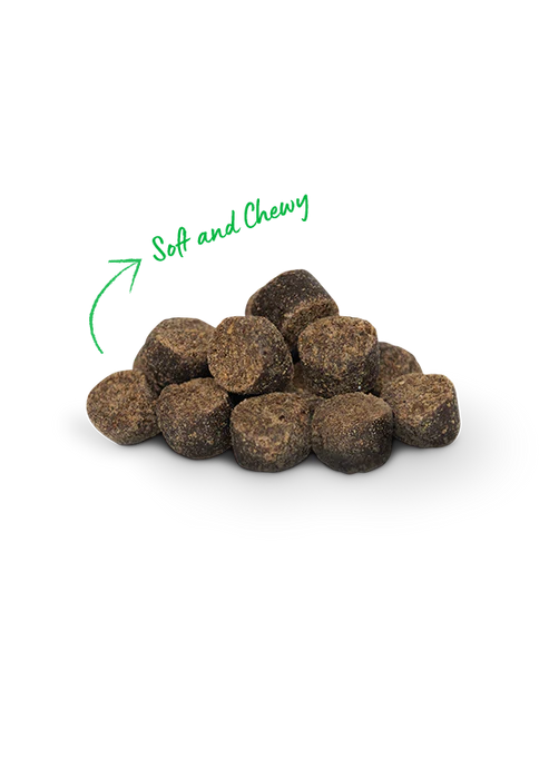 Open Farm Be Good Bites Wild-Caught Salmon Recipe Dog Treats - Image 2