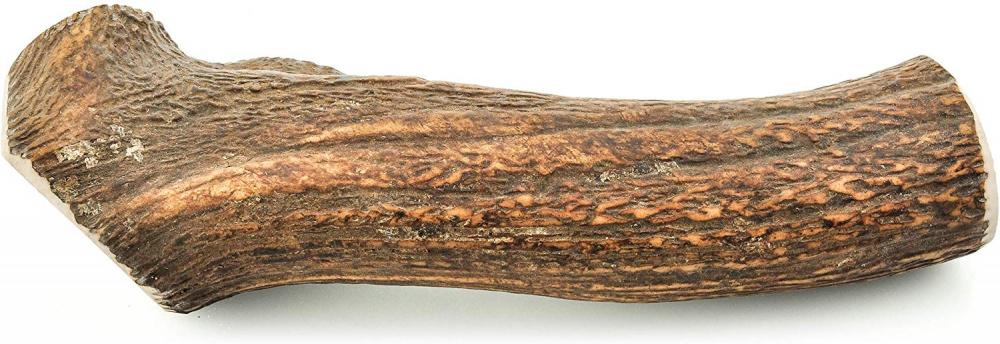 Barkworthies Whole Elk Antler Dog Chew for Extra Large Dogs - Image 3