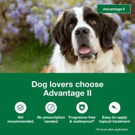 Advantage II XL Dog Vet-Recommended Flea Treatment & Prevention - Image 3