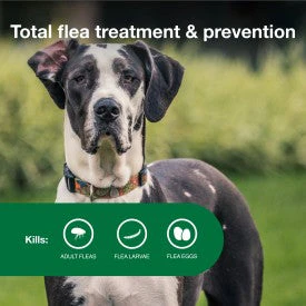 Advantage II XL Dog Vet-Recommended Flea Treatment & Prevention - Image 4