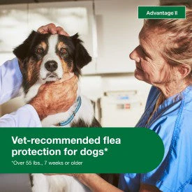Advantage II XL Dog Vet-Recommended Flea Treatment & Prevention - Image 5