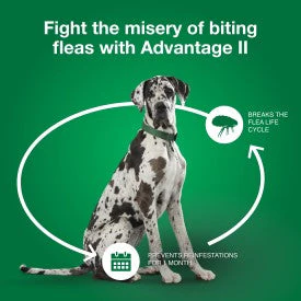 Advantage II XL Dog Vet-Recommended Flea Treatment & Prevention - Image 7
