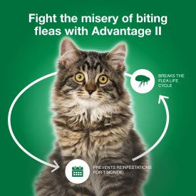 Advantage II Large Cat Flea Treatment & Prevention - Image 10