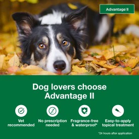 Advantage II Large Dog Vet-Recommended Flea Treatment & Prevention - Image 3