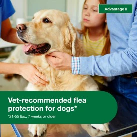 Advantage II Large Dog Vet-Recommended Flea Treatment & Prevention - Image 5