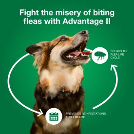 Advantage II Large Dog Vet-Recommended Flea Treatment & Prevention - Image 7