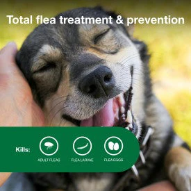Advantage II Medium Dog Vet-Recommended Flea Treatment & Prevention - Image 5