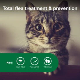 Advantage II Small Cat Vet-Recommended Flea Treatment & Prevention - Image 7