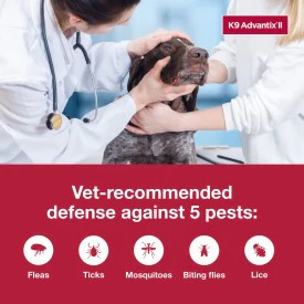 K9 Advantix II XL Dog Flea, Tick & Mosquito Treatment & Prevention - Image 4