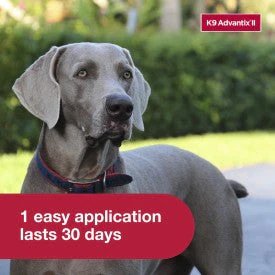 K9 Advantix II XL Dog Flea, Tick & Mosquito Treatment & Prevention - Image 5