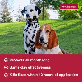 K9 Advantix II Flea, Tick & Mosquito Treatment & Prevention for Medium Dogs - Image 4