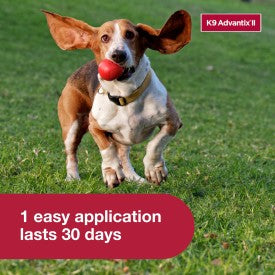 K9 Advantix II Flea, Tick & Mosquito Treatment & Prevention for Medium Dogs - Image 6