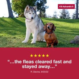 K9 Advantix II Small Dog Flea, Tick & Mosquito Treatment & Prevention - Image 7