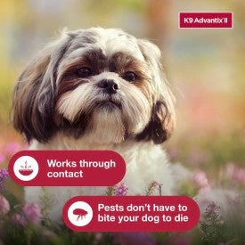 K9 Advantix II Small Dog Flea, Tick & Mosquito Treatment & Prevention - Image 8