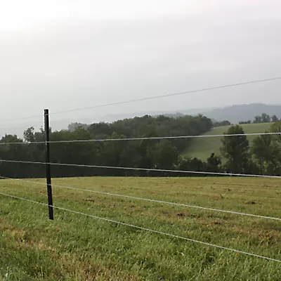 Bekaert 12.5 ga 170k PSI Bezinal® 4000' High Tensile Smooth Wire - Image 3