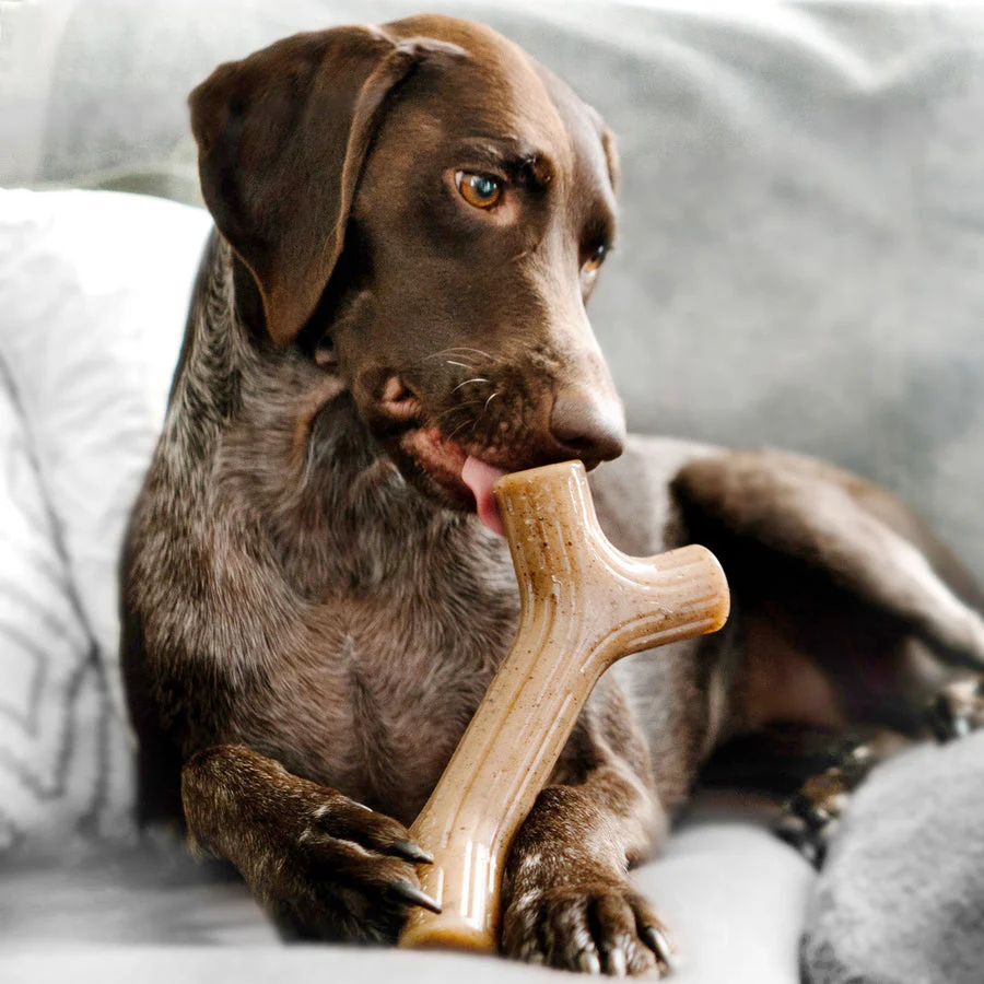 Benebone Bacon Stick - Image 10