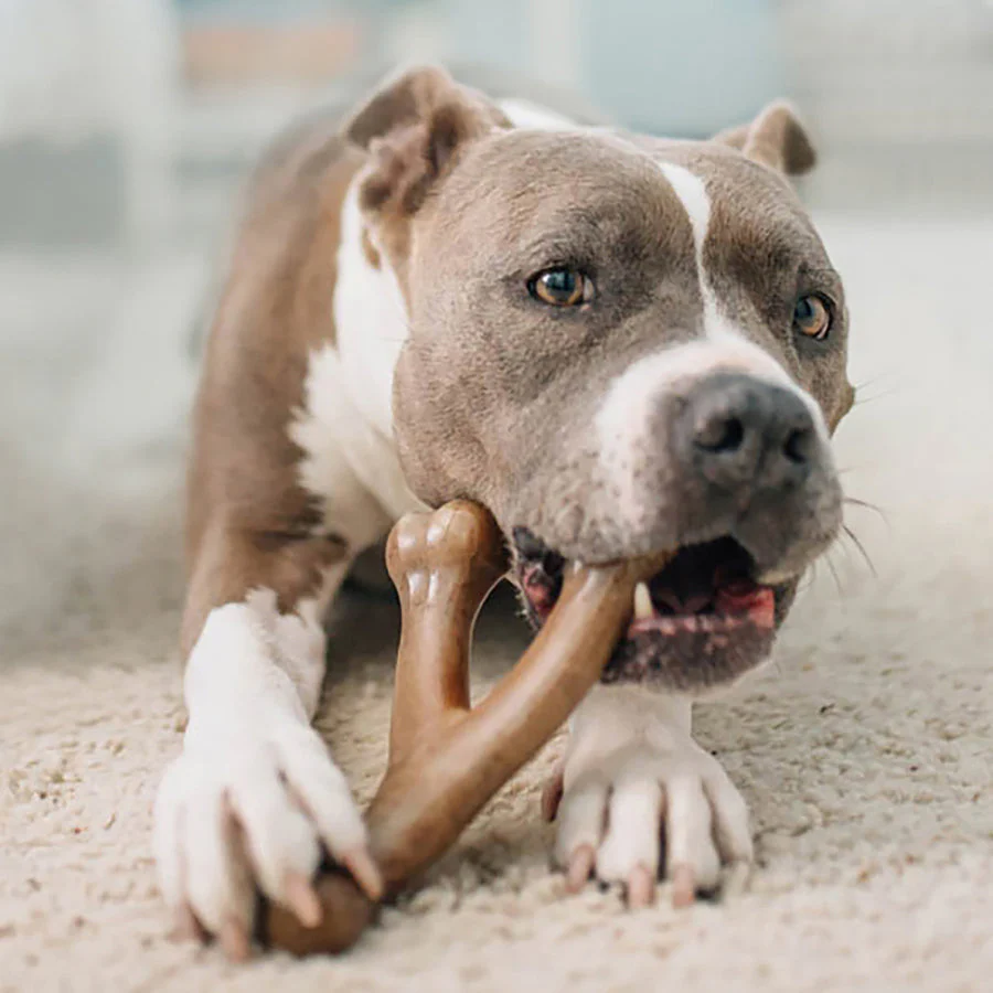 Benebone Bacon Wishbone - Image 10