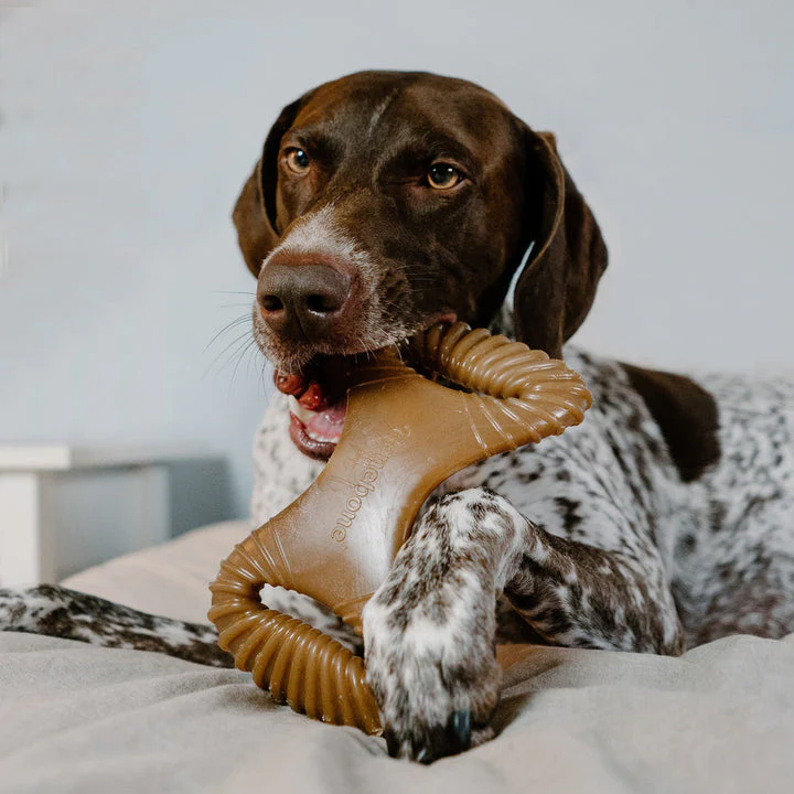 Benebone Bacon Dental Chew - Image 10