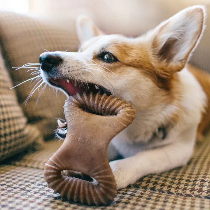 Benebone Bacon Dental Chew - Image 4