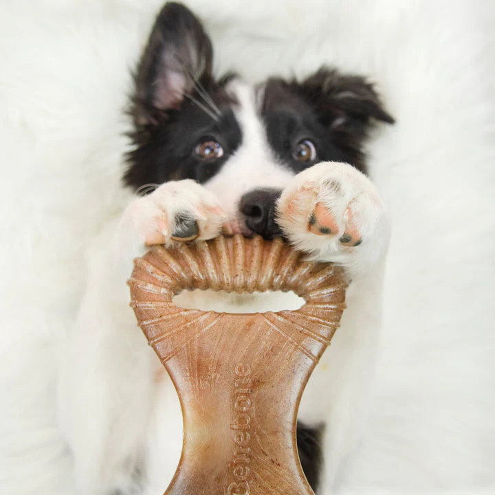Benebone Bacon Dental Chew - Image 6