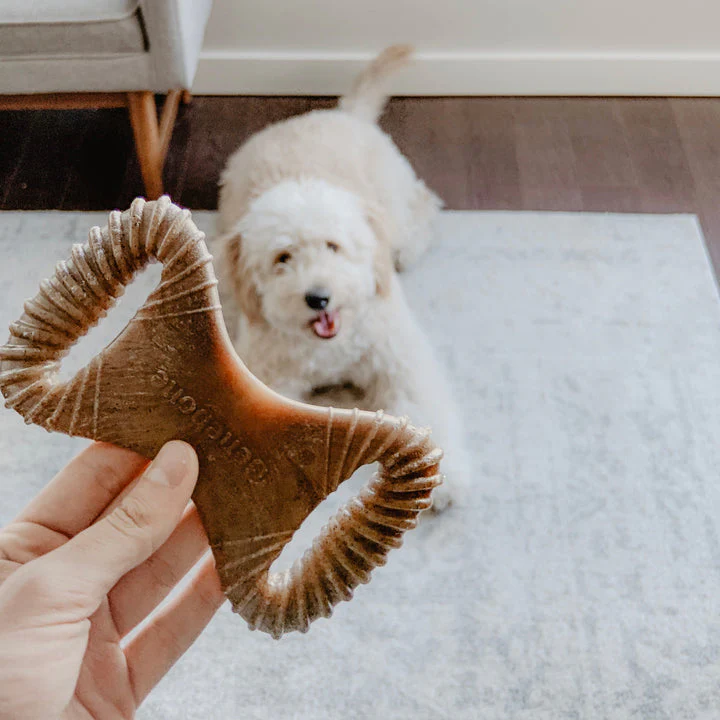 Benebone Bacon Dental Chew - Image 7