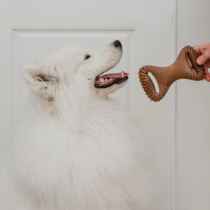 Benebone Bacon Dental Chew - Image 9