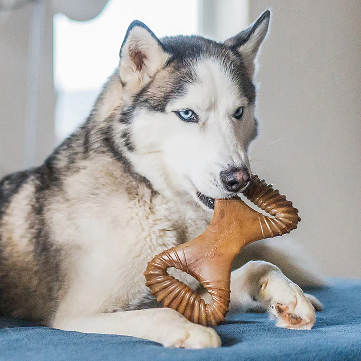 Benebone Peanut Butter Dental Chew - Image 7