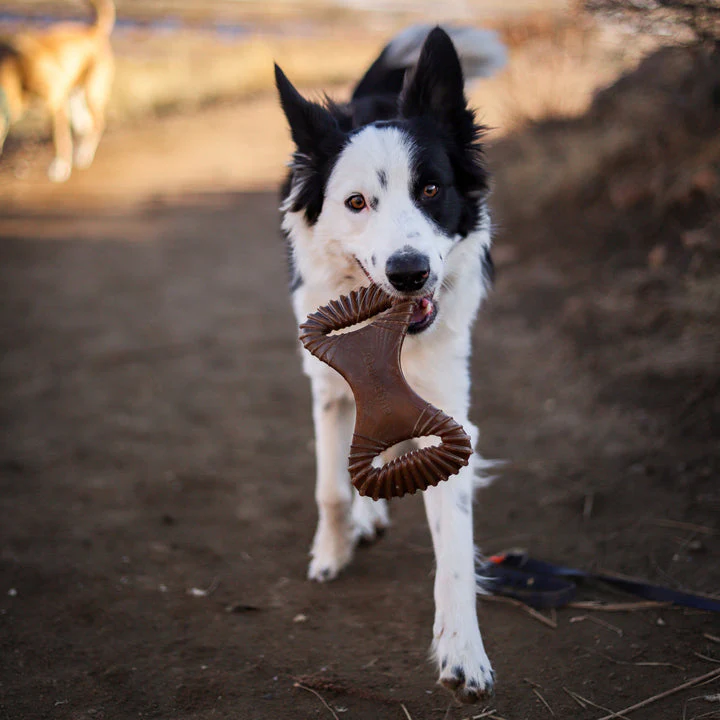 Benebone Peanut Butter Dental Chew - Image 9