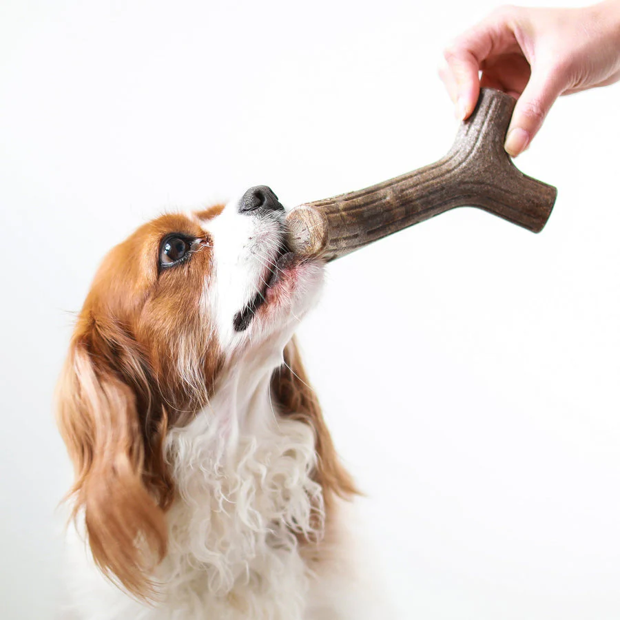 Benebone Maplestick - Image 7