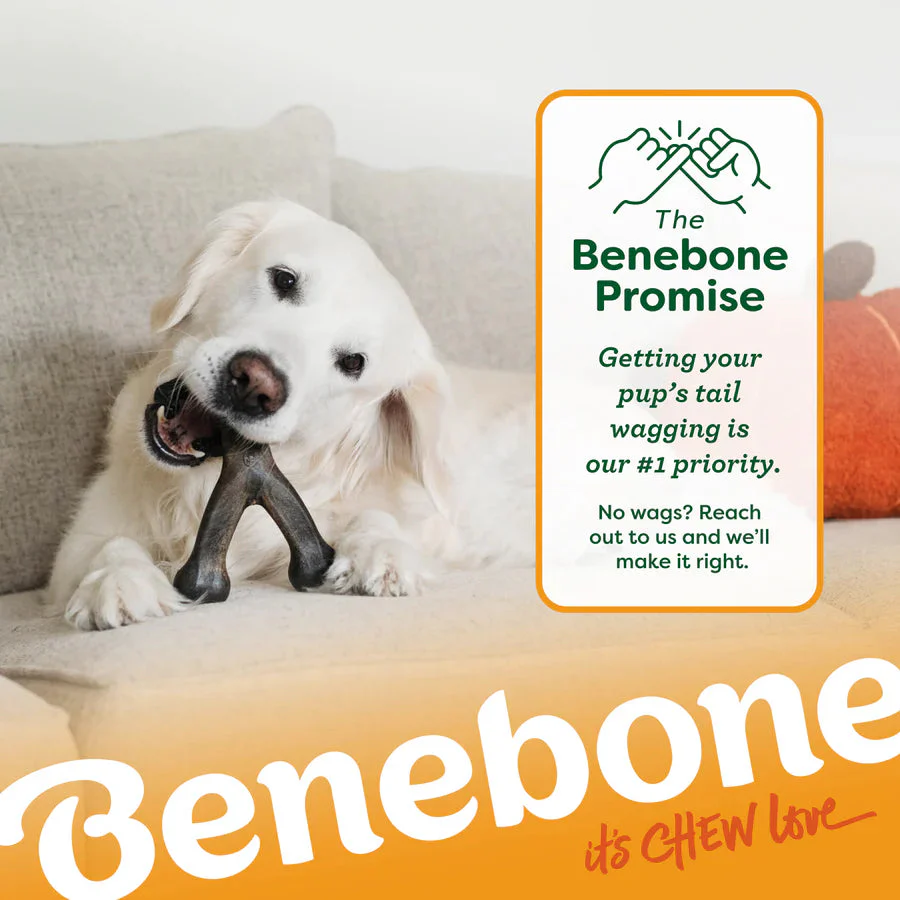 Benebone  Pumpkin Spice Wishbone Limited Edition Durable Dog Chew Toy - Image 5