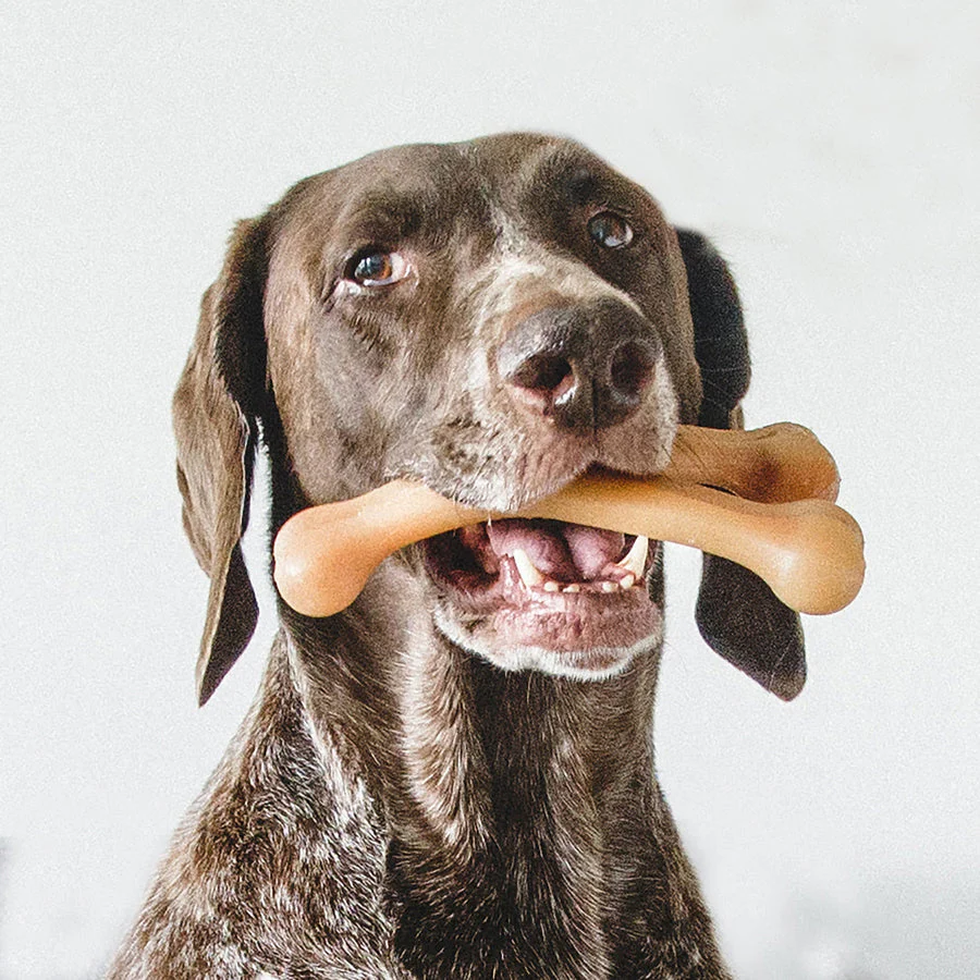 Benebone Chicken Wishbone - Image 9