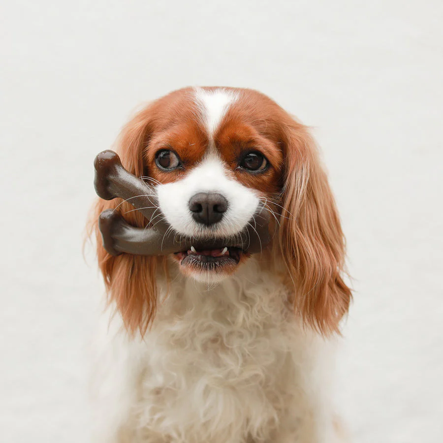 Benebone Peanut Butter Wishbone - Image 3