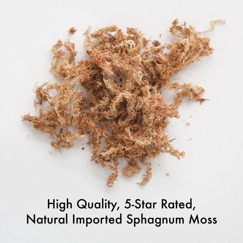Better-GroĀ® Premium Grade Orchid Moss - Image 2