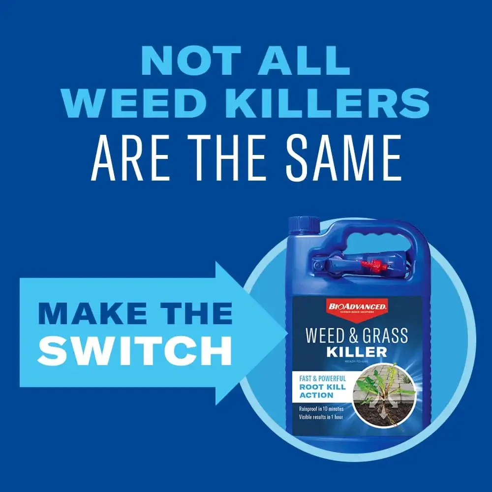 BioAdvanced Weed & Grass Killer Ready-to-Use - Image 2