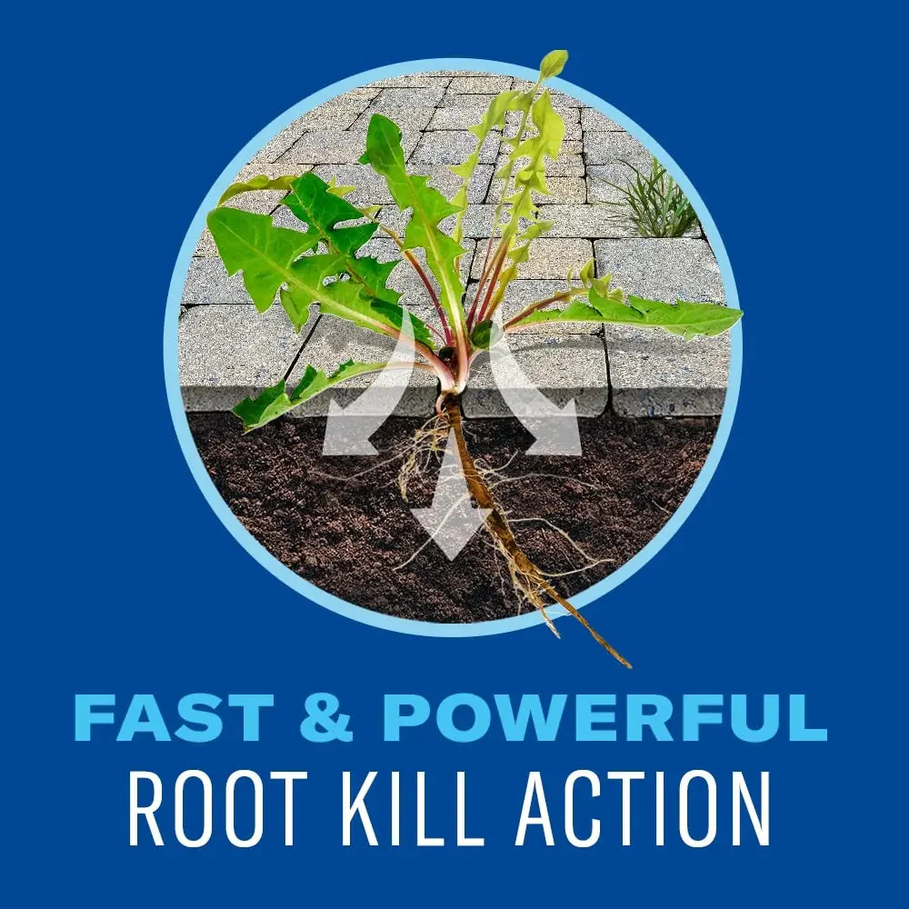 BioAdvanced Weed & Grass Killer Ready-to-Use - Image 4