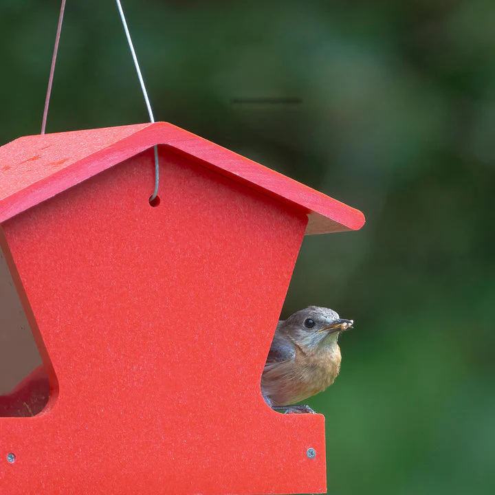 Birds Choice Small Hopper Feeder in Red Recycled Plastic - Image 2