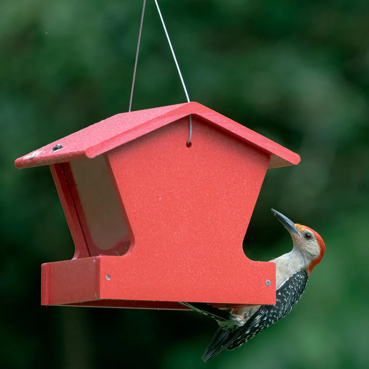 Birds Choice Small Hopper Feeder in Red Recycled Plastic - Image 3