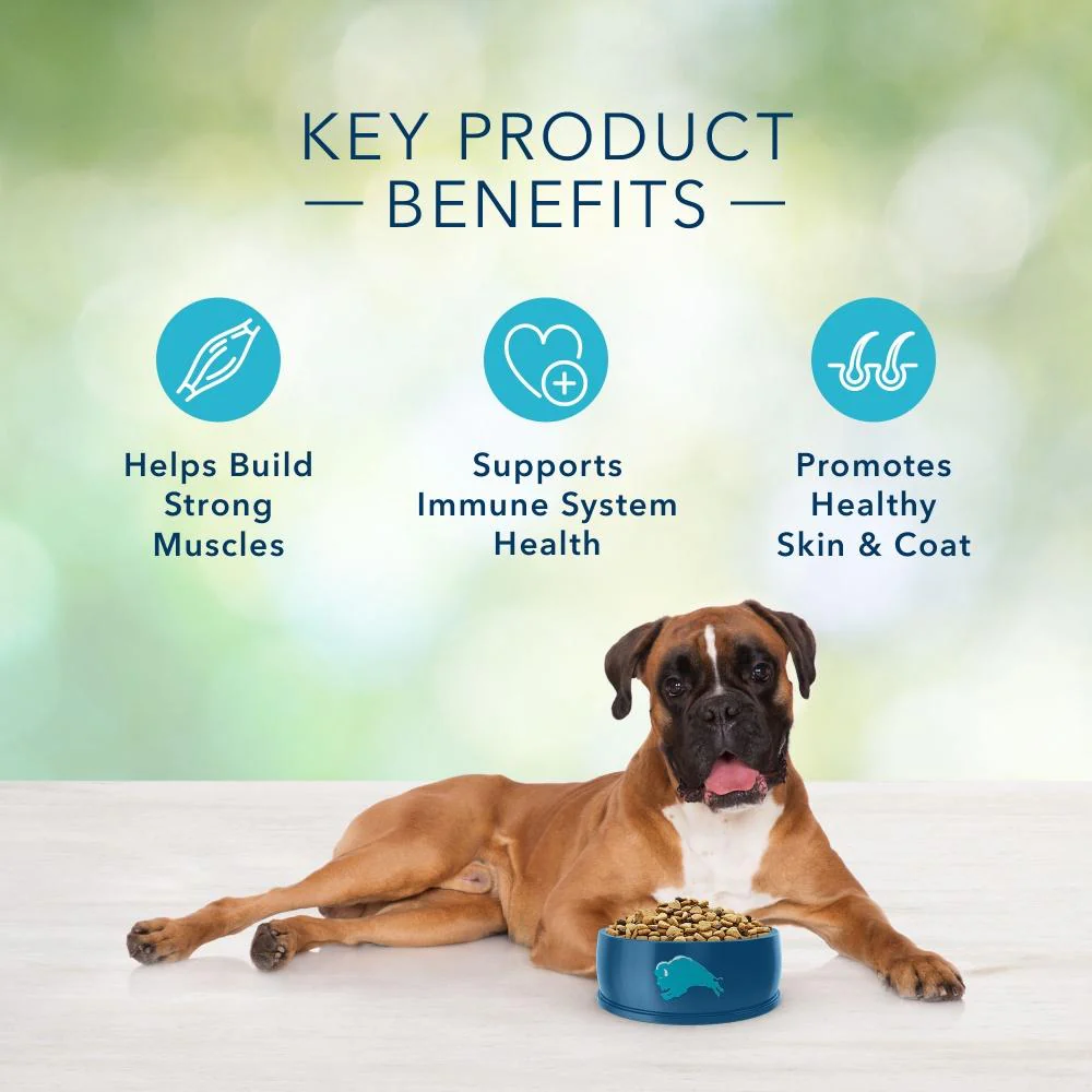 Blue Buffalo Freedom Grain Free Chicken Recipe Adult Dry Dog Food - Image 5